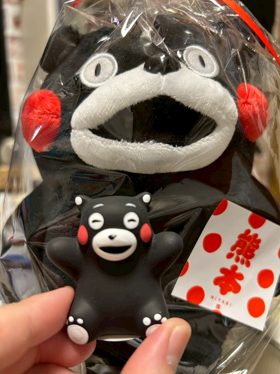 福岡-熊本旅行行ってきた